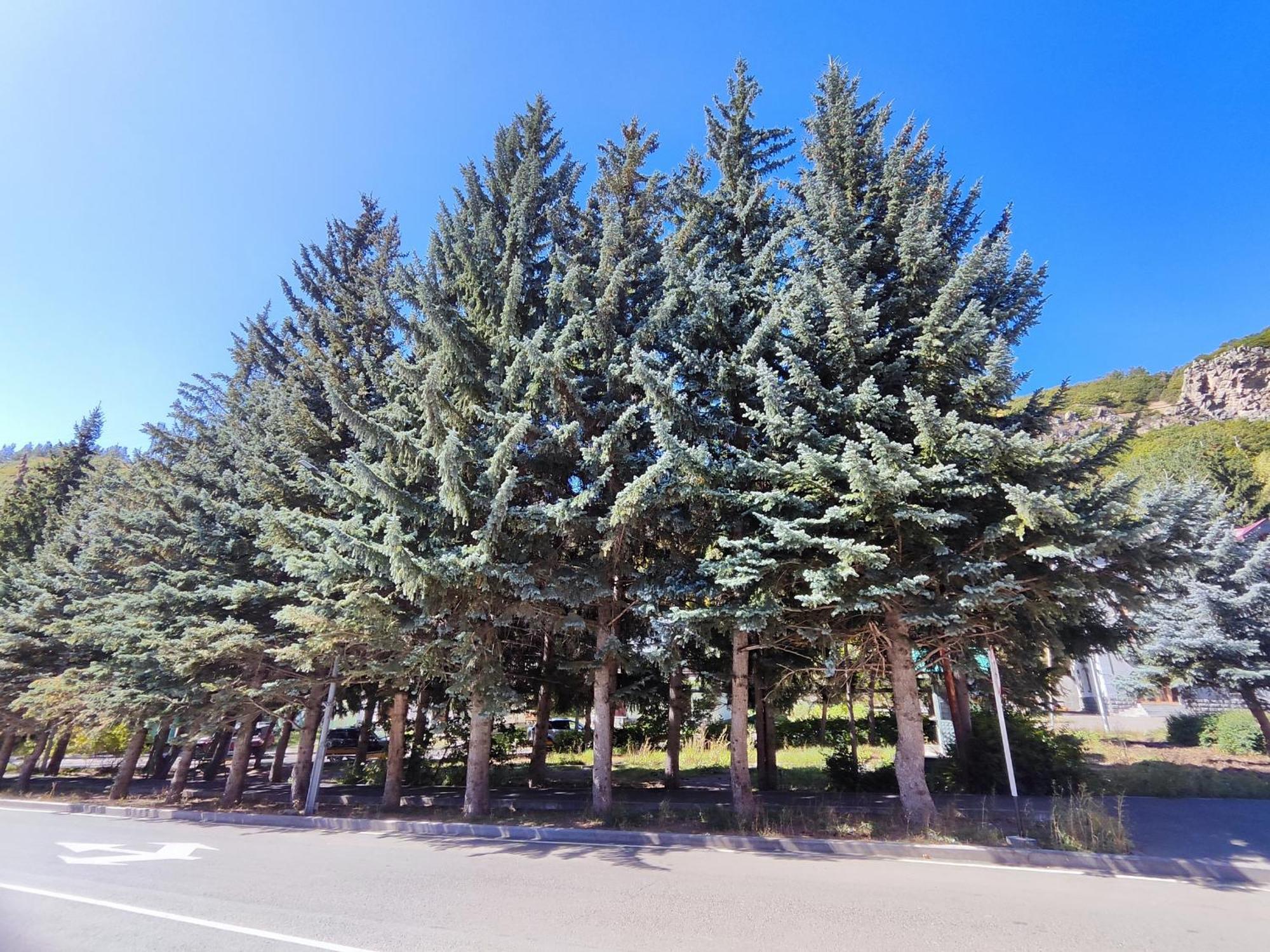 Jermuk Mini Apartment Dış mekan fotoğraf